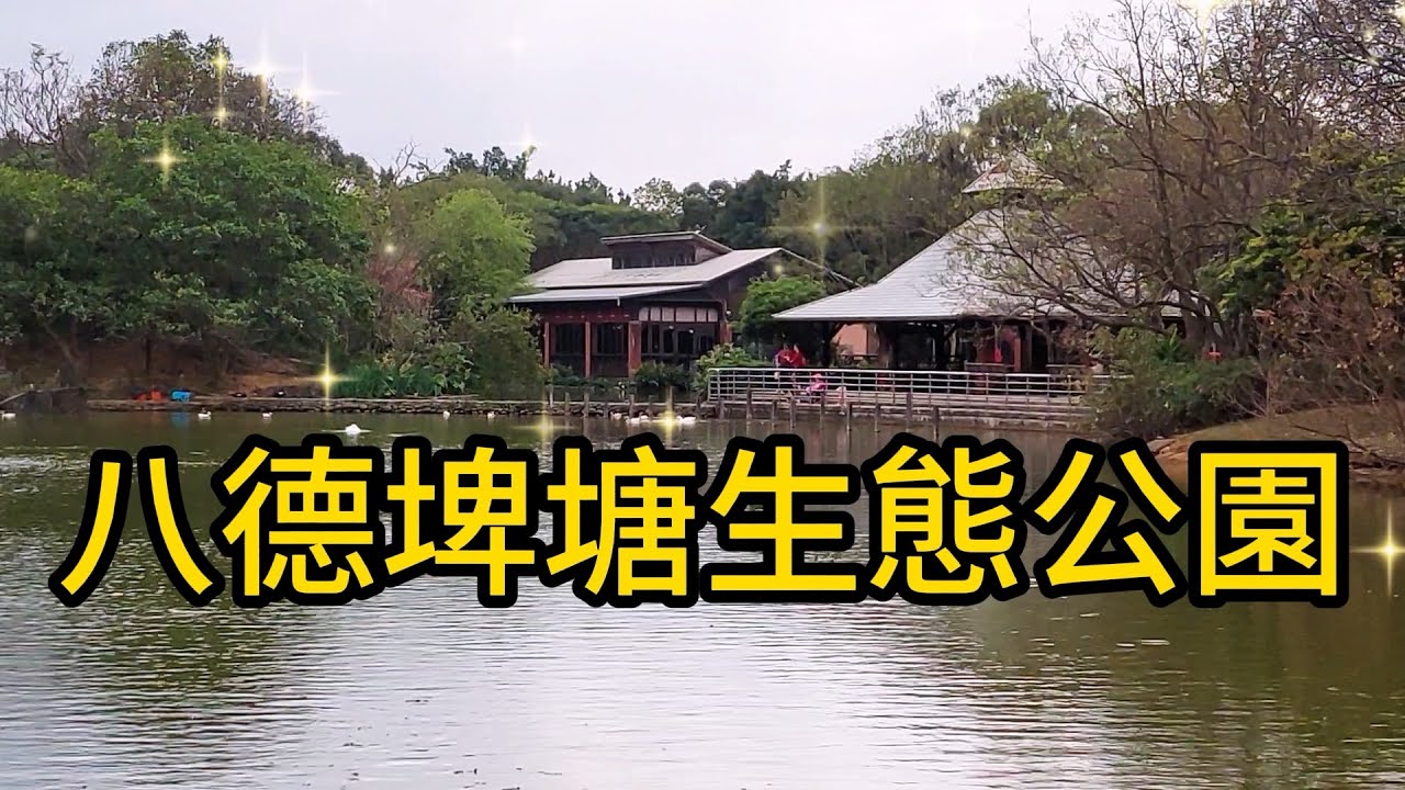 【桃園景點】 138 八德埤塘自然生態公園是一個親子踏青的好去處，這裡有大草皮可野餐也有餐廳可用餐。埤塘邊還有多種水鳥、鴨子、大鵝都是小朋友們的最愛，埤塘的環湖步道很優美，是一處寓教於樂很療癒的好地方