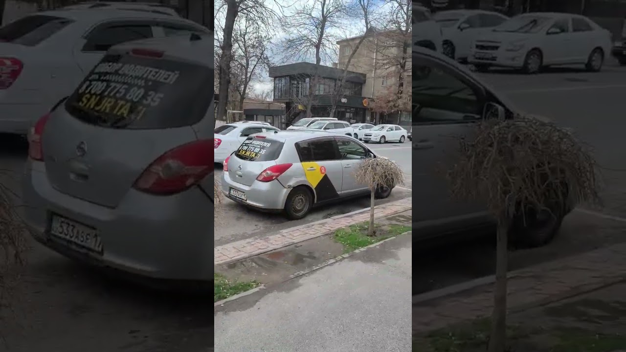 Шымкент/ул.Туркесианская -Спутник 