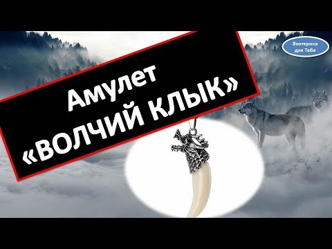 Амулет волчий клык