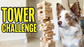 Emmys Jenga Tower Challenge