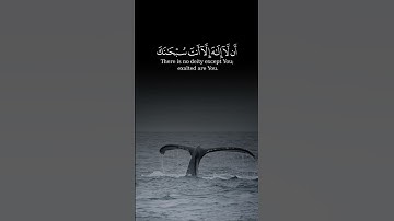 [ وَذَا النُّونِ إِذْ ذَهَبَ مُغَاضِبًا ] سورة الأنبياء- القارئ ياسر الدوسري #قرآن #قران_كريم