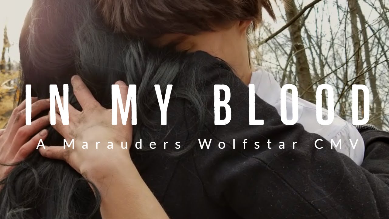 In My Blood (Harry Potter Marauders Wolfstar CMV)