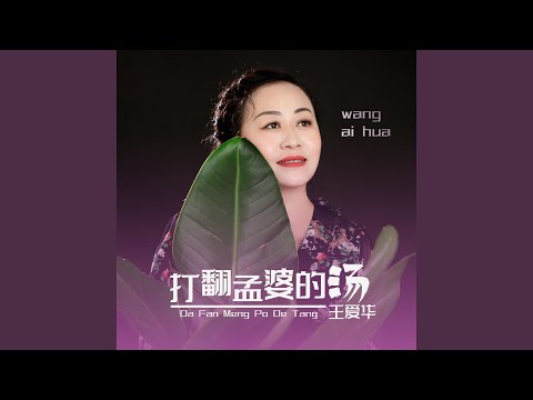 打翻孟婆的汤 (DJ默涵版)