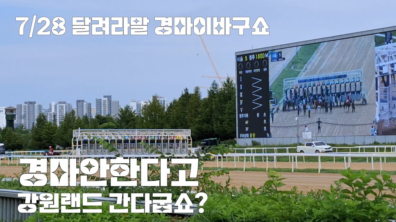 경마는 왜 휴장하는거야?(폭염주의/ 건강챙기시길 바랍니다)