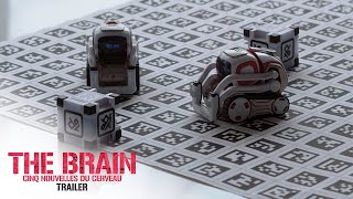 The Brain - 5 Nouvelles Du Cerveau - Trailer Ovdf