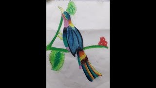 COLOURING A BIRD DRAWING - ART LOVER