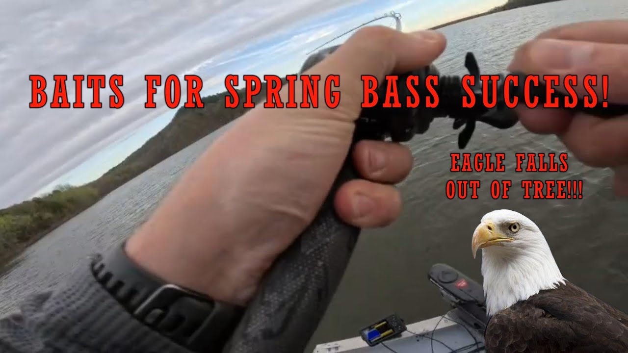Early Spring Bass Fishing and KEY Baits (BALD EAGLE FALLS OUT OF TREE!!!)