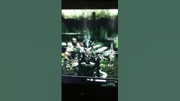 skyrim lvl 81 character