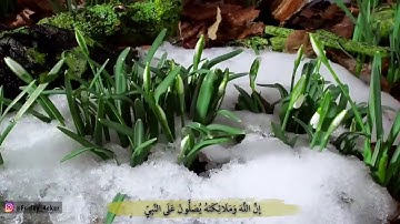 إن الله وملائكته يصلون على النبي للقارئ نبيل الرفاعي