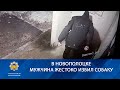 В Новополоцке мужчина жестоко избил собаку