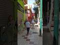 Visita Avenida De Europa Málaga En La Primavera #primavera #avenidaeuropa #malaga #españa #fyp