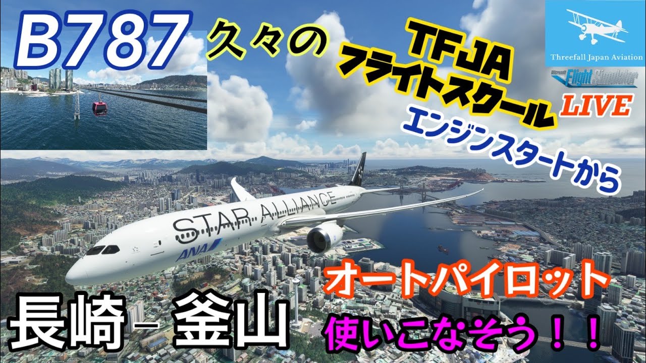 flight sim B787風カスタムスロットル（操縦桿工房製） 【B787で