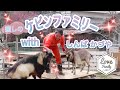 2022年3月【ヤギ】癒しの『ケビンファミリー』withしんばかづや