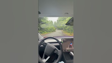 Tesla FSD works great in the hill curves #fsd #tesla