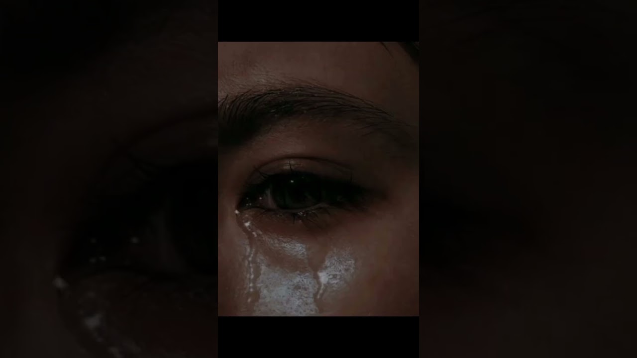 you have reached sam based on it's aesthetics