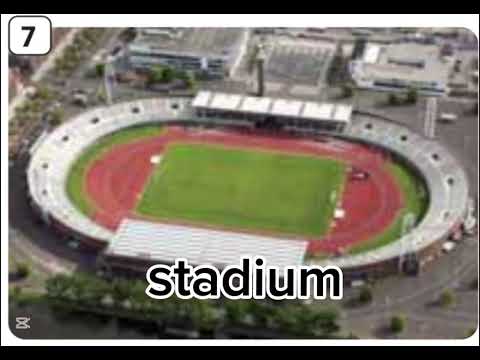 Unit 3 Vocabulary Grade 6