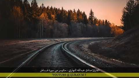من أجمل التلاوات بصوت الشيخ صادق النهاري.. برواية البزي عن بن كثير