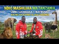 WEWE LIMBU LUCHAGULA NA MAYIKUSAI MTAWAUWA MWAKA HUU VIDEO PRODUCER MBEYA STUDIO 2026 