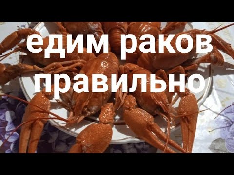 Правильно едим раков