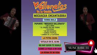 Video thumbnail of "Muchacha Encantadora - Los Vallenatos de la Cumbia"