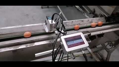 Meenjet Mx1 how to print exp date logo on the Eggs?