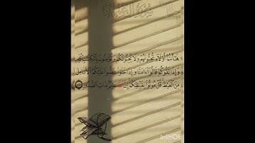سوره آل عمران عدد آياتها ٢٠٠ آيه (سوره مدنيه ) الآيه ١١٩