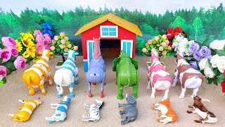 Wadidau Full Movie‼️Proses Simulasi Potong Sapi Kurban &amp; Kerbau Lucu Learn Colors With Farm Animals