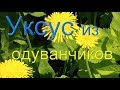 Уксус из одуванчиков