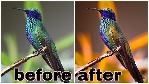 Lovebirds photo editing | Background Colour Effect Photo Editing Lightroom | Lr Photo Editing