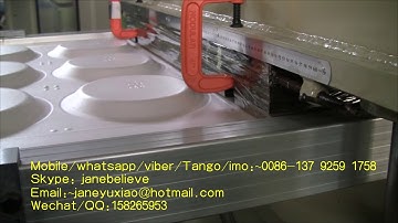 automatic disposable ps foam fast food container production line/EPS Processing machine