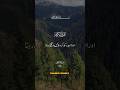 Way to Salvation #islam #quran #shorts