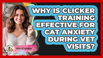 Why Is Clicker Training Effective For Cat Anxiety During Vet Visits? - Happy Cat Handbook