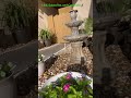 Rock Garden: Spring Refresh After a Cold Winter🌱Like, Subscribe, and Comment🌺#relaxation