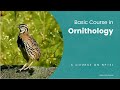 Basic Course in Ornithology