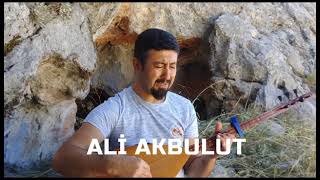 Ali Akbulut Bizim Eller