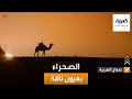 صباح العربية | مصورون يوثقون الصحراء بعيون ناقة سارحة