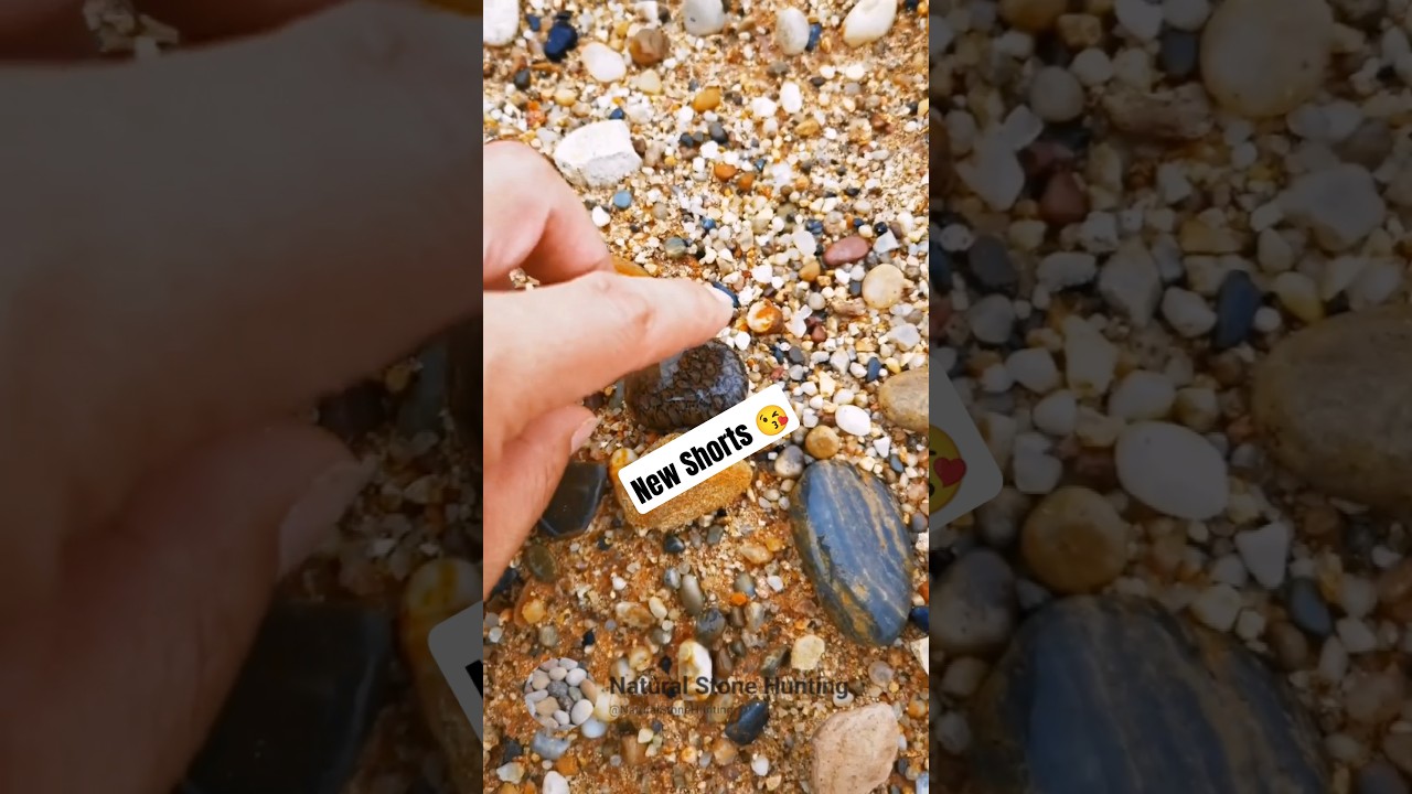 New Natural Stone Hunting Shorts 