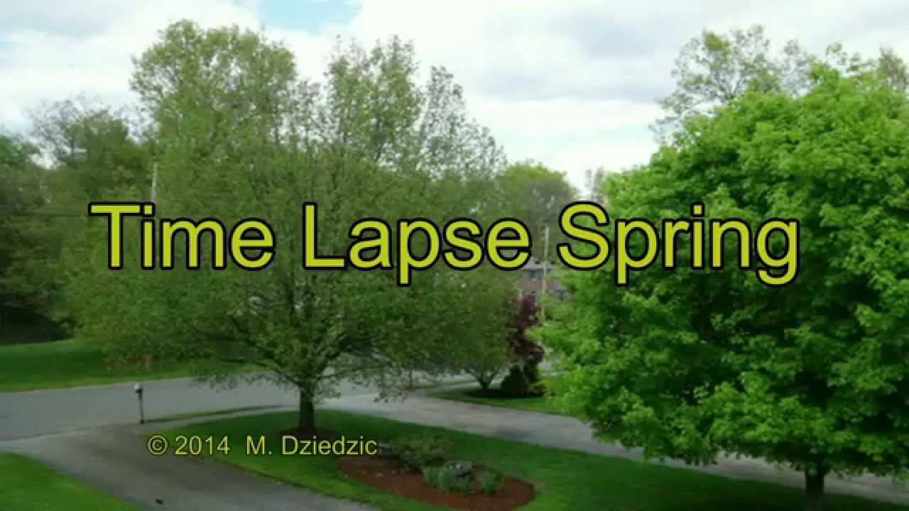 Time Lapse Spring YouTube