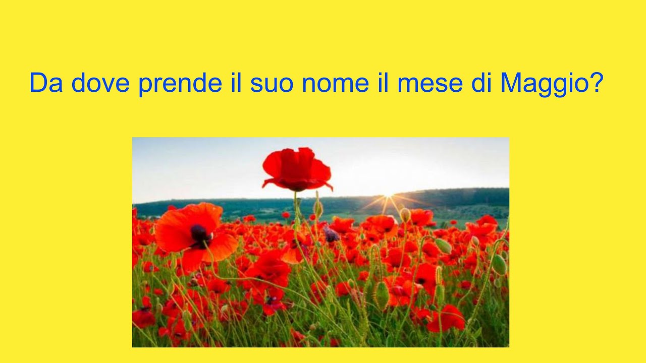 Da Dove Deriva Il Nome Maria