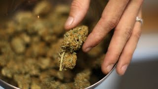 Opponents of medical marijuana drop lawsuit in Utah