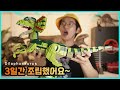 60cm 크기의 딜로포사우루스 공룡 스톱모션으로 조립했습니다 | 히히튜브