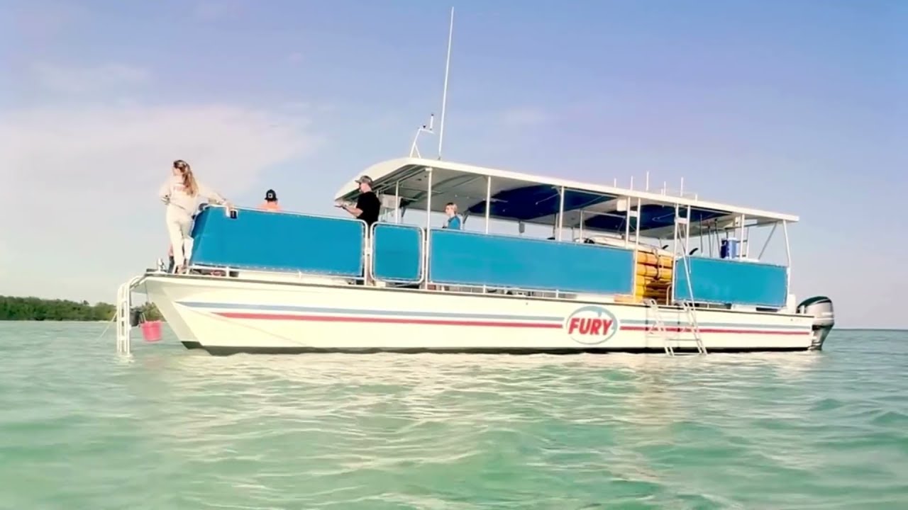 Your Summer with Fury: Key West Sandbar Trips & Eco Tours