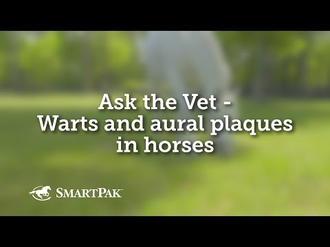 Ask the Vet - Warts and aural plaques in horses