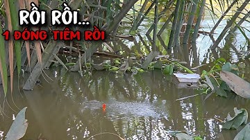 Tập 192 - Câu Cá Sông Dụng Bầy Cá Quấn Ổ Kéo Phao Giật Muốn Không Kịp Luôn