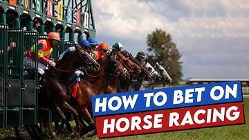 How to bet on Horse Racing: the beginner