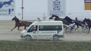 Vidéo de la course PMU PREMI TREBOL