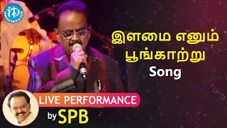 Ilamai Ennum Poongaatru LIVE Performance by SPB | Maestro Ilayaraaja | இளமை எனும் பூங்காற்று