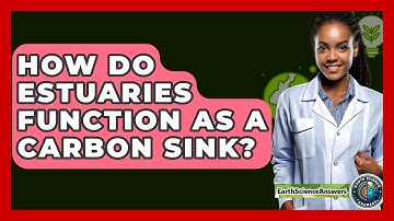 How Do Estuaries Function As A Carbon Sink? - Earth Science Answers