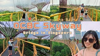 🇸🇬 Garden by the bay｜OCBC Skyway｜Supertree Grove｜滨海湾花园｜美丽的花园城市｜穿梭于天空树间的空中步道｜Apr'23