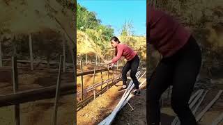 Day 43 Girl Builds Bamboo Fence – Mini Vlog DIY”